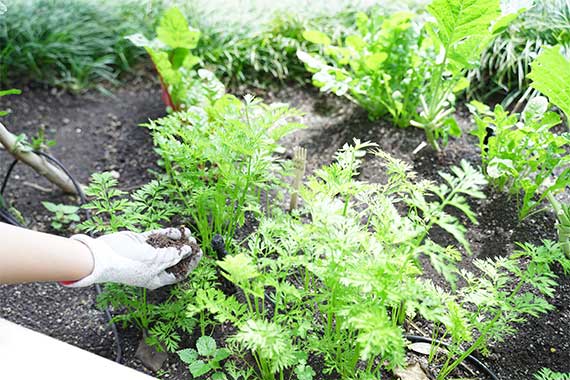 ケータリング事例イメージ2